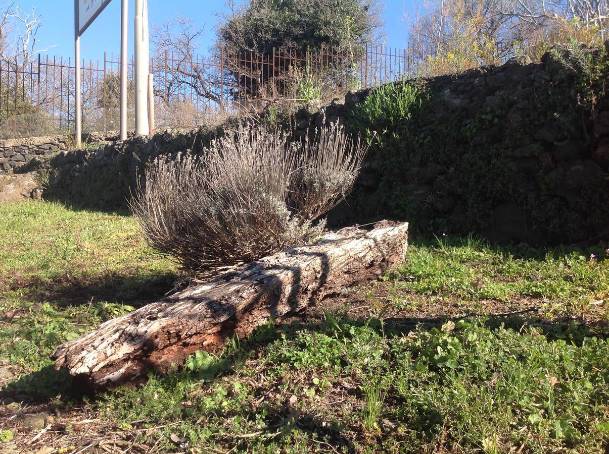 Le Cisterne Dell'Etna Otel Calcerana-Marina Dış mekan fotoğraf